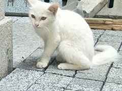 -荔湾湖公园