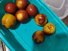 -湘中缘·湖南菜(娄底驻京办店)