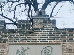 -桃花堤公园