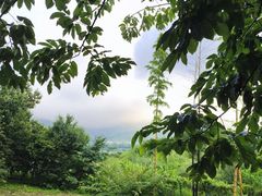 -雅达·阳羡溪山小镇中心