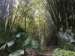 -晓港公园