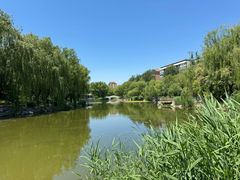 -三忘湖 SWANSEEN(柳荫公园店)