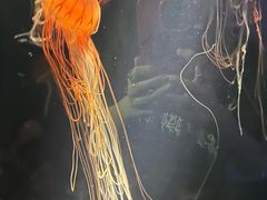 -欢乐海岸海洋奇梦馆