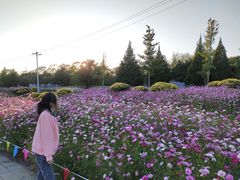 -东疆建设开发纪念公园