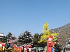 -石岛赤山风景区