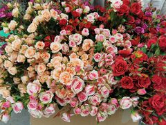 -重庆市江北嘴中央商务区中央公园