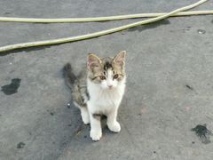 -盛华60年名表维修服务中心