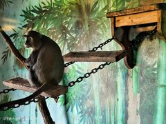 -大连森林动物园