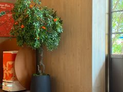 -桔子酒店(上海西藏北路地铁站店)