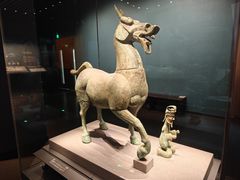 -广西壮族自治区博物馆