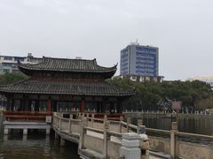 -孺子亭公园