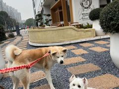 -翠贝卡&Mama Kelly Brunch Coffee(河西店)