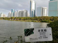 -万绿园