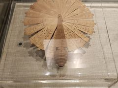 -中国扇博物馆