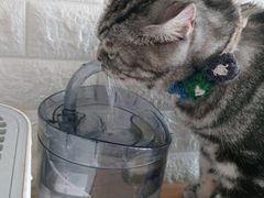 -平行世界·猫咖(首经贸店)