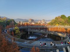 -福道
