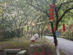 -广州市帽峰山景区