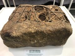 -中国茶叶博物馆(双峰馆区)