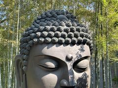 -杭州植物园