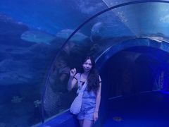 -左海海底世界