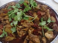 -农夫大盘鸡(经八路总店)