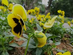 -人民公园(罗湖区)