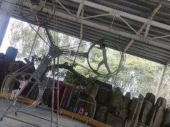 -泉州海丝野生动物世界