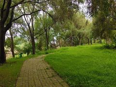 -泗洪洪泽湖湿地景区