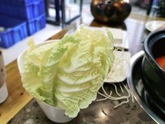 -乳仔牛牦牛汤锅 烤羊排(松潘古城店)
