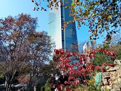 -静安公园(静安寺街道)