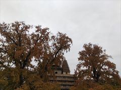 -北京石刻艺术博物馆(五塔寺)