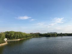 -大兴滨河森林公园