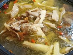 -蘑统田下·野生菌火锅