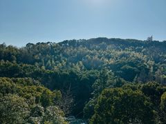 -上海佘山茂御臻品之选酒店(原佘山艾美酒店)