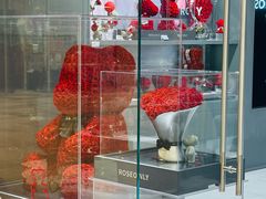 -ROSEONLY诺誓(国际广场购物中心店)