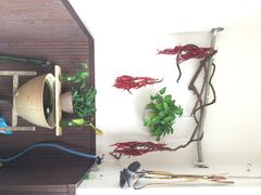 下面馆-下面馆