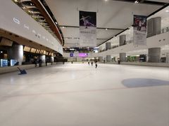 -TheRink大零溜冰场(IFS国金中心店)