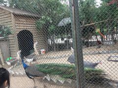 -陕西自然博物馆