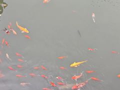 -圆通寺