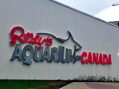 -瑞普利水族馆