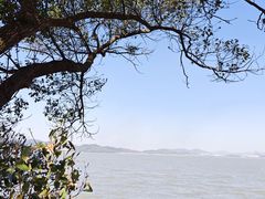 -东钱湖旅游度假区