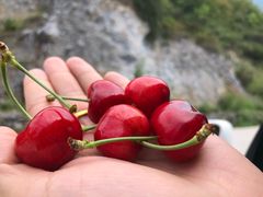 -萝卜寨羌文化生态旅游区