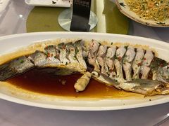清蒸闽江白刀鱼-紫阳海鲜楼·传承闽味(长乐路总店)