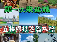 -盐城丹顶鹤湿地生态旅游区