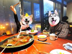-黄家码头老火锅(解放碑旗舰店)