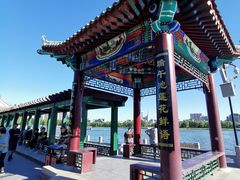-莲花池公园