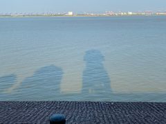 -大湾区中央湿地公园