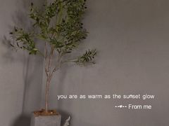 -Supine Bistro溯泮餐厅