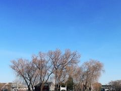 -什刹海