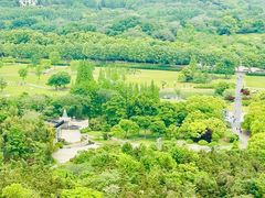 -宜兴龙背山森林公园